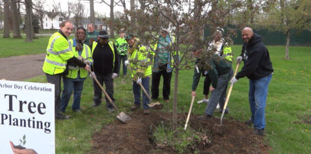 Arbor Day