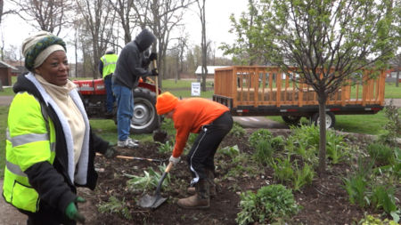 Arbor Day